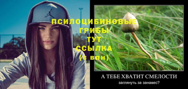 apvp Заводоуковск