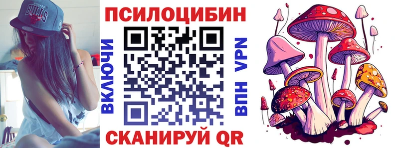 Галлюциногенные грибы GOLDEN TEACHER  Купить  Зеленокумск 