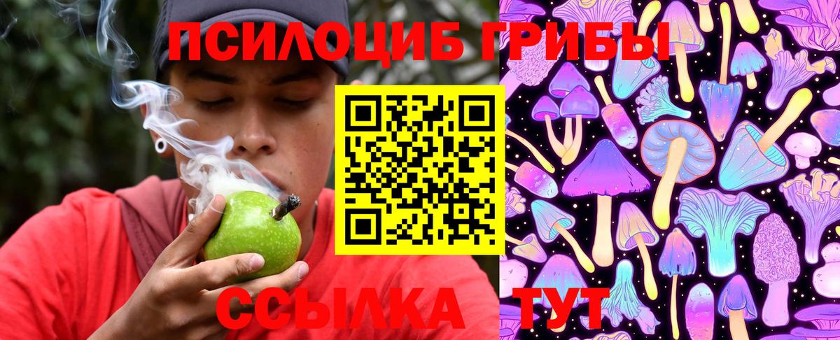 Галлюциногенные грибы прущие грибы Зеленокумск