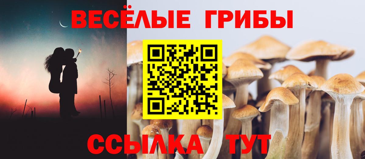 Галлюциногенные грибы ЛСД Зеленокумск